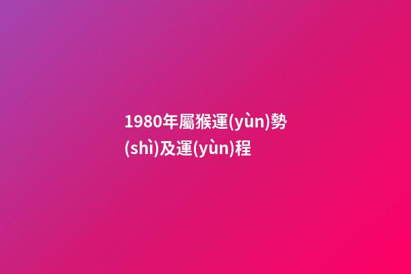 1980年屬猴運(yùn)勢(shì)及運(yùn)程 (1980年屬猴的人一生運(yùn)勢(shì))